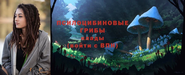apvp Протвино